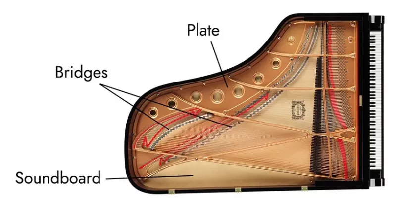 Bí Quyết Sử Dụng 'Chord Inversion' Để Tạo Dòng Bass Độc Đáo Cho Piano