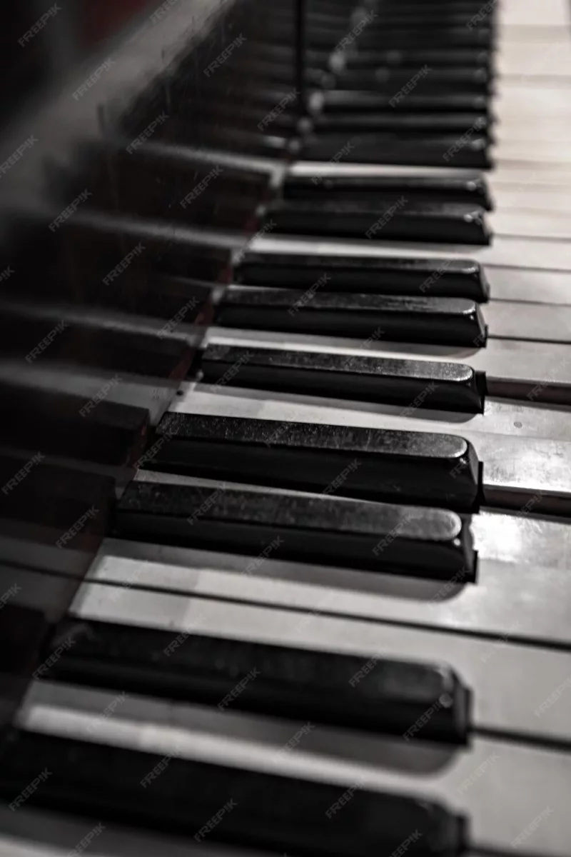 Các Loại Nỉ (Felt) Trong Đàn Piano Cơ: Công Dụng Và Thay Thế