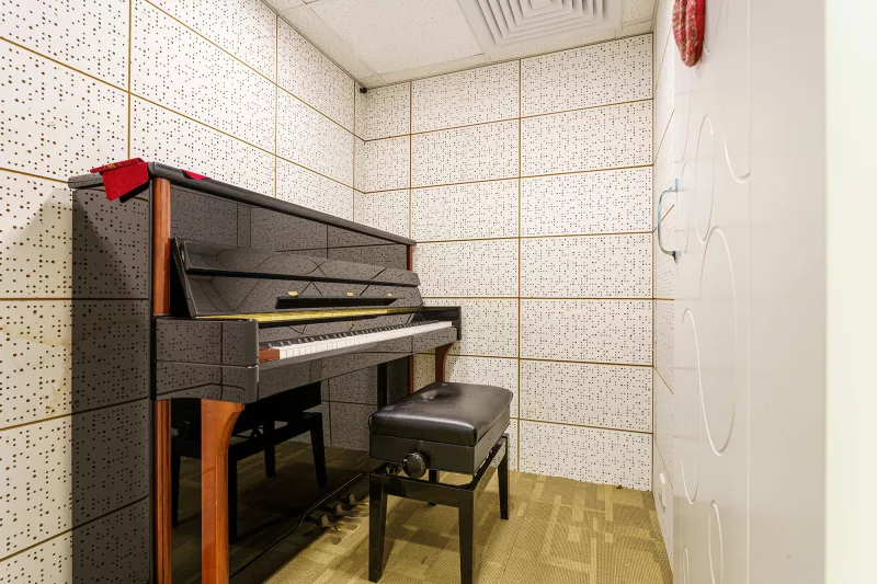 Chẩn Đoán Lỗi 'Sticky Dampers' Trên Piano Cơ: Nguyên Nhân Và Cách Sửa