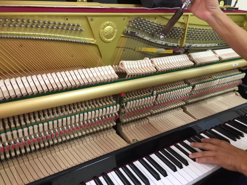 Chơi Piano Bằng Hai Bàn Tay Với Các Điệu Nhảy Dân Gian Việt Nam: Hướng Dẫn Chi T