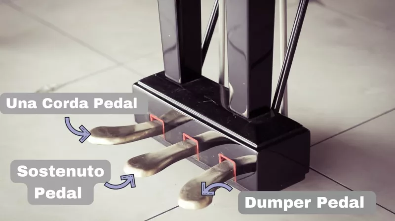 Chọn Micro Thu Âm Piano: Loại Nào Phù Hợp Với Piano Cơ/Điện?