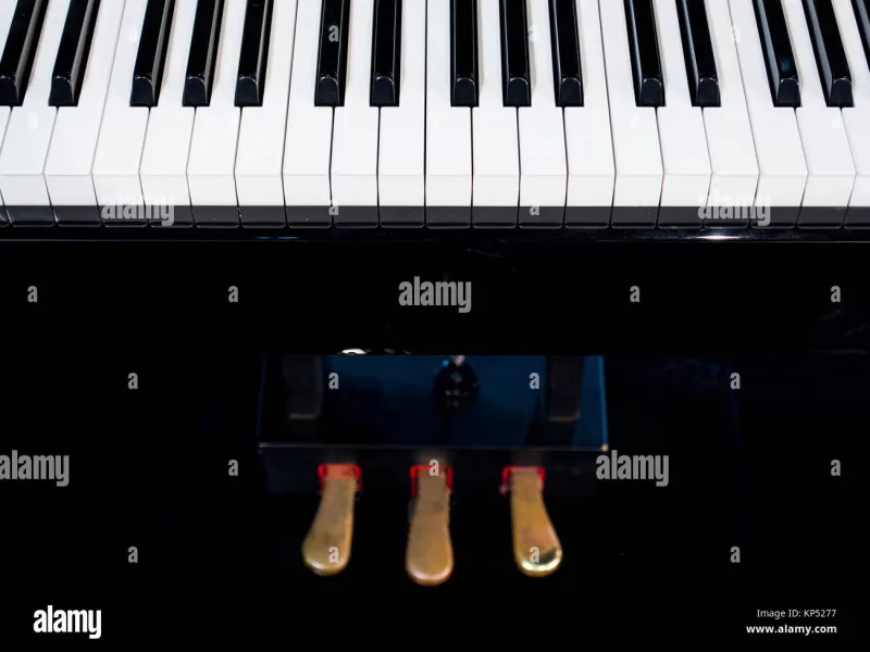 Đàn piano chất lượng cao