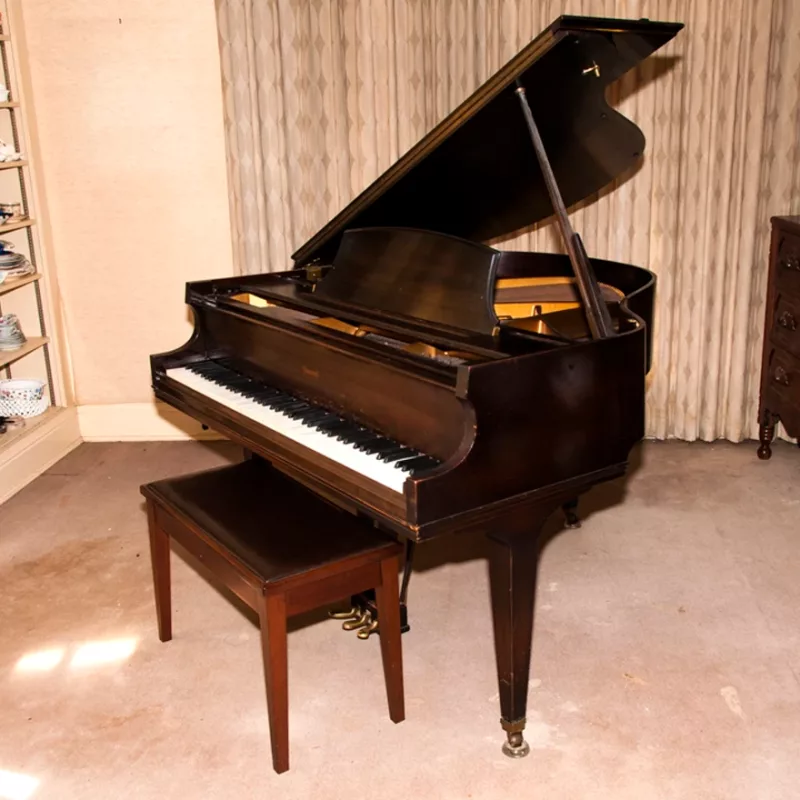 Chọn Mua Piano Cho Người Tự Kỷ: Yếu Tố Quan Trọng & Gợi Ý Model Phù Hợp
