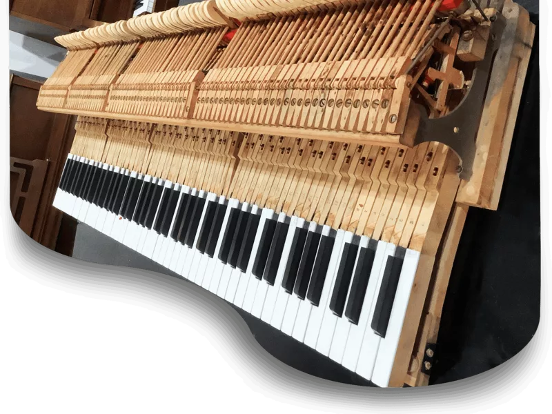 Chọn Mua Piano Điện Cho Người Mới Học Jazz: Tính Năng Cần Thiết