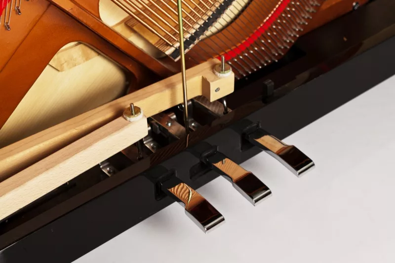 Chọn Mua Piano Điện Cho Người Thuần Tay Trái: Model Chuyên Dụng