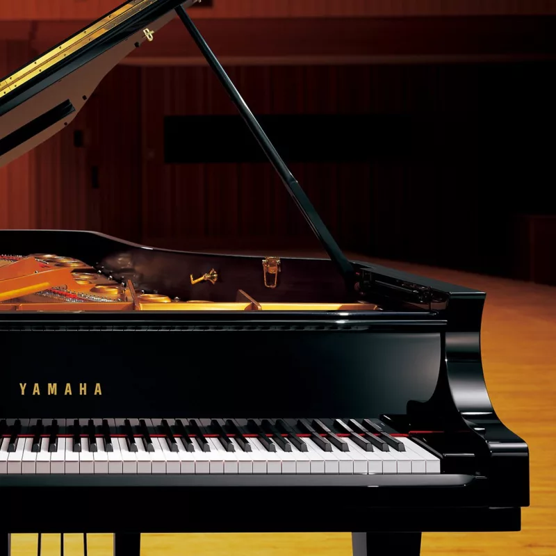 Chọn Mua Piano Điện Có Tính Năng 'Pure Acoustic Modeling': Trải Nghiệm Âm Thanh 
