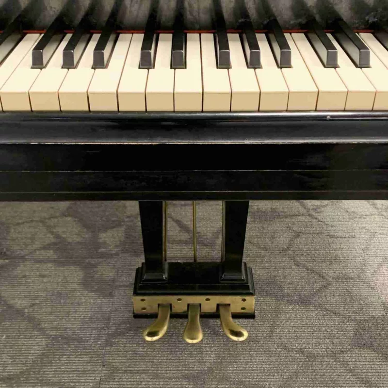 Chọn Mua Piano Kỹ Thuật Số (Digital Grand): Ưu Điểm & Nhược Điểm