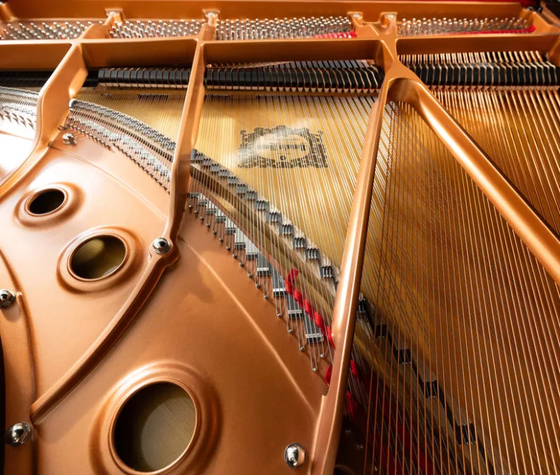 Chọn Mua Piano: Phân Biệt 'Haptic Feedback' Trên Piano Điện