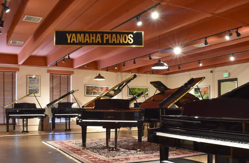 Giải Thích Chức Năng EQ Trên Piano Điện: Bí Quyết Tạo Âm Thanh Cá Nhân Hóa