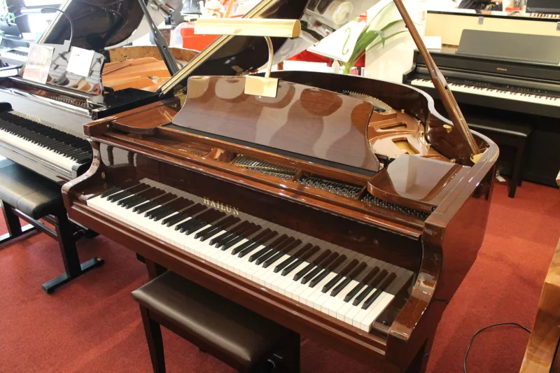 Giải Thích Thuật Ngữ 'Prepared Piano': Biến Tấu Âm Thanh Sáng Tạo