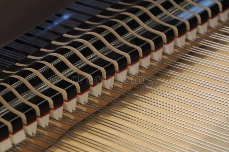 Hướng Dẫn Sử Dụng 'Arpeggio Patterns' Sáng Tạo Trên Piano Điện