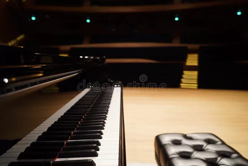 Hướng Dẫn Sử Dụng Chức Năng 'Registration Memory' Trên Piano Điện Yamaha