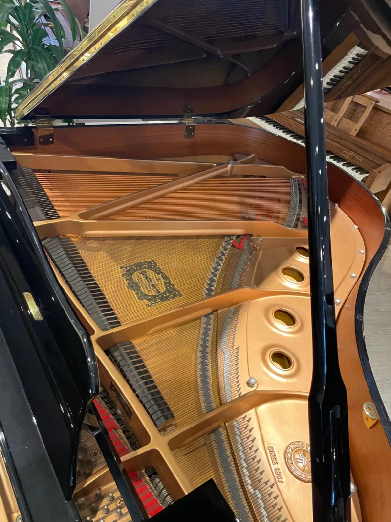 Nghệ thuật piano