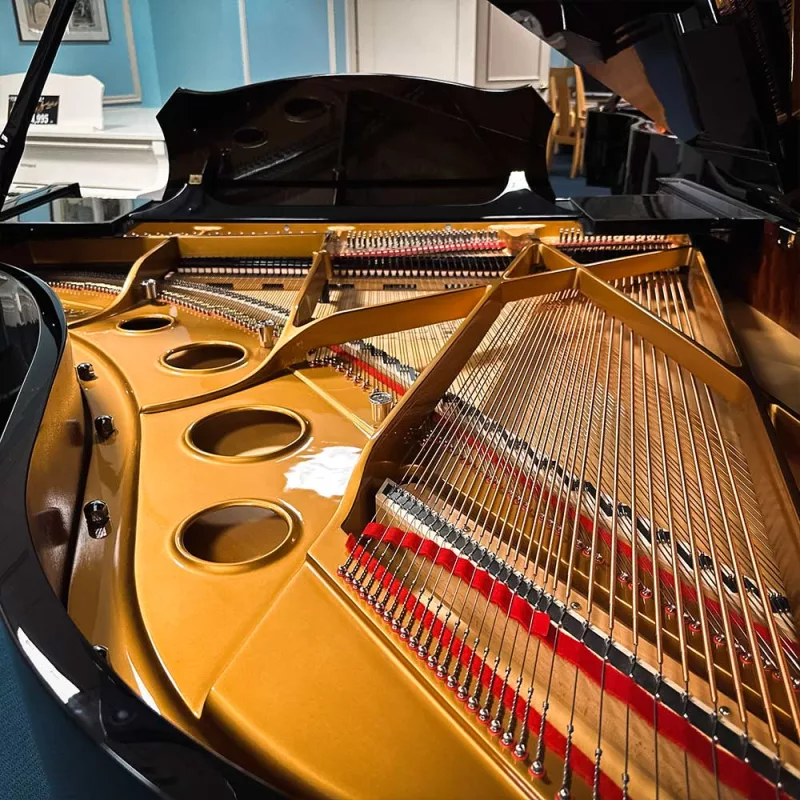 Hướng Dẫn Sử Dụng Chức Năng 'String Pad' Trên Piano Điện: Âm Thanh Dày Dặn