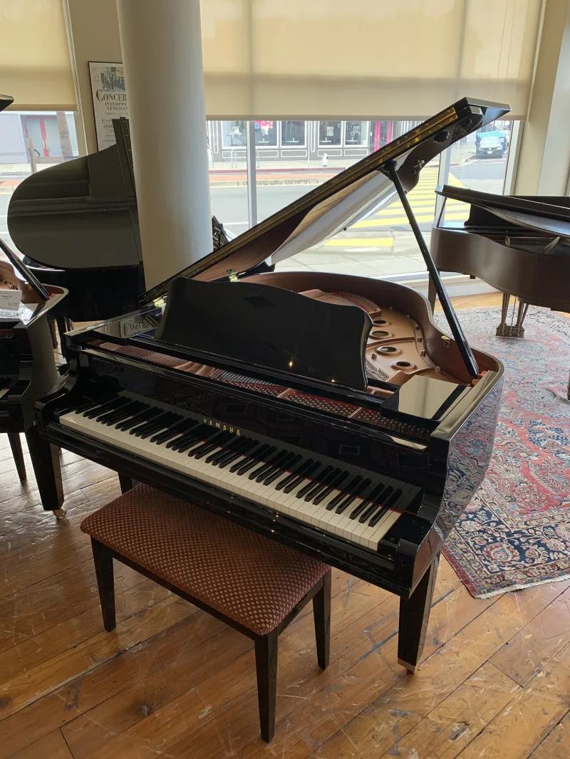 Hướng Dẫn Sử Dụng Metronome Khi Tập Piano Hiệu Quả