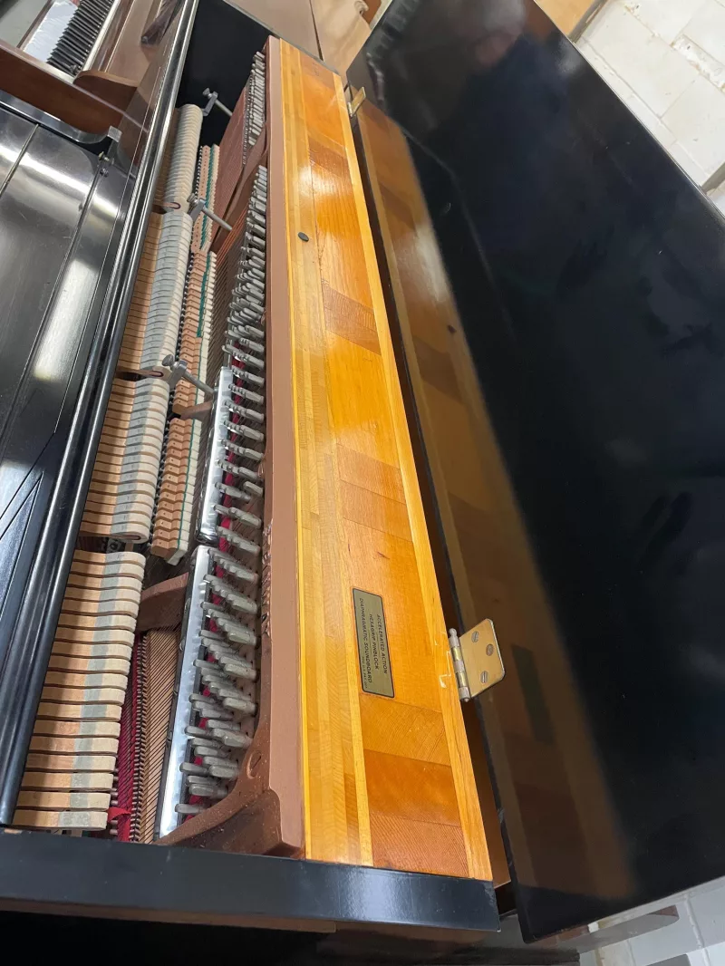 Hướng Dẫn Sử Dụng Chức Năng 'Transpose by Semitone' Trên Piano