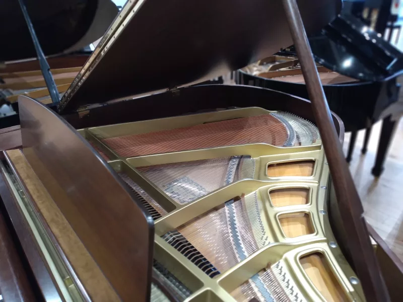 Nghệ thuật piano