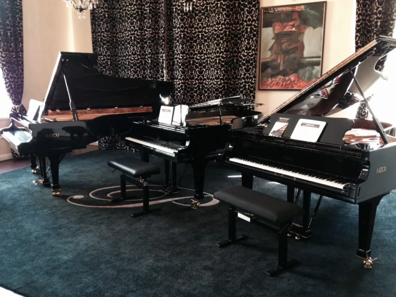 Kỹ Thuật Chơi Piano Bằng Cả Bàn Tay (Palm Playing): Âm Thanh Mạnh Mẽ và Độc Đáo