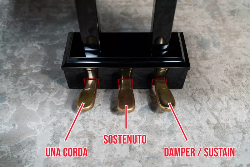 Kỹ Thuật Pedal Half-Damper: Tạo Hiệu Ứng Giữa Sustain Và Staccato