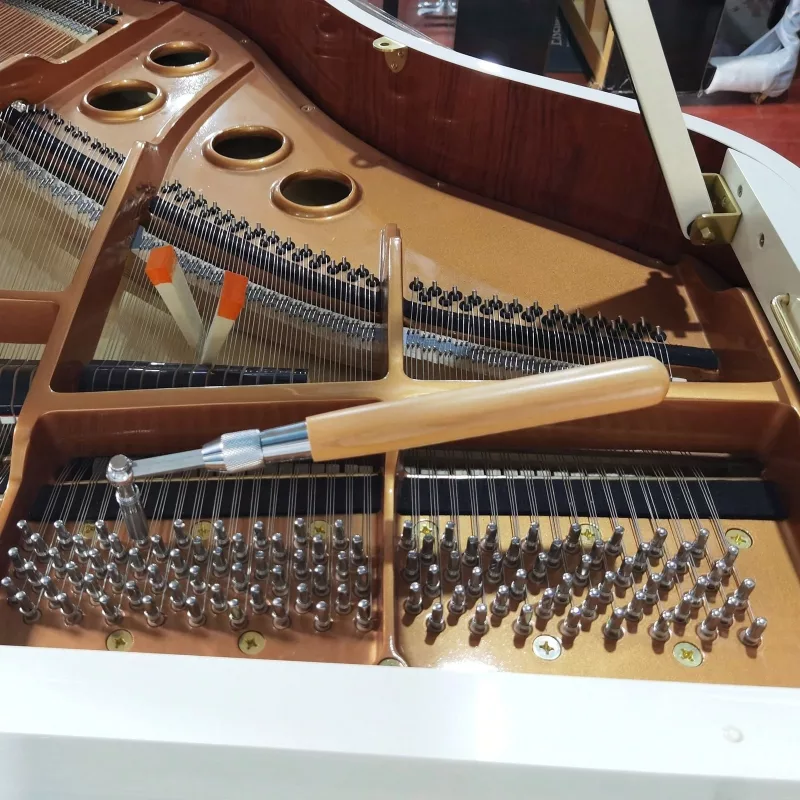 Kỹ Thuật 'Velocity Mapping' Nâng Cao Trên Piano Điện: Tối Ưu Biểu Cảm?