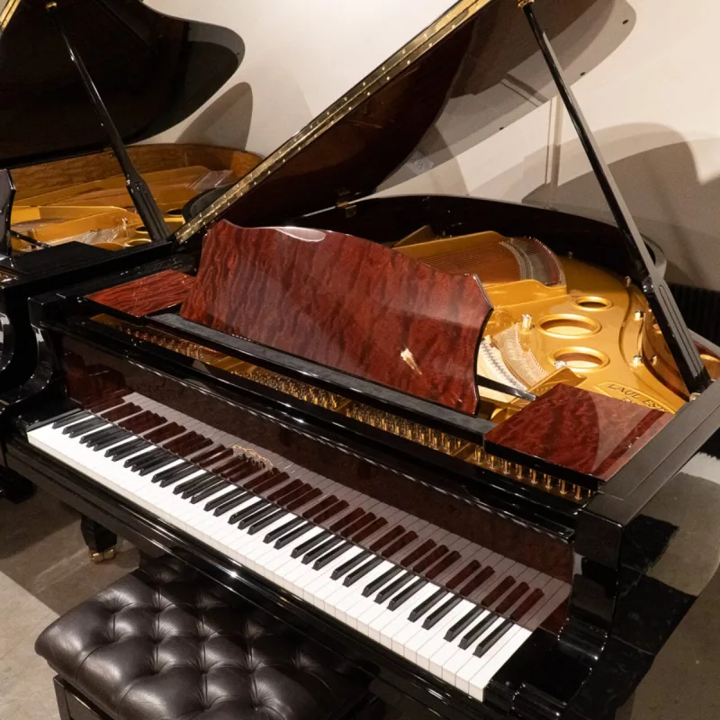 'Micro-Expression' trong piano: Biểu lộ cảm xúc qua từng cử động nhỏ