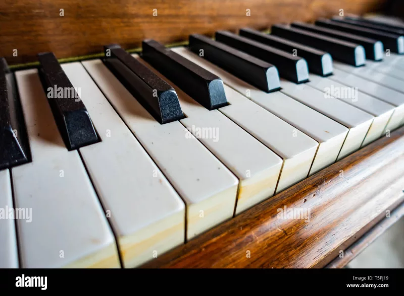 Piano Băng Giá: Kỹ Thuật Chơi Trong Môi Trường Lạnh Giá