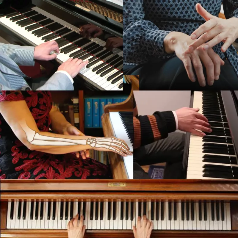 'Piano String Dampers': Tìm Hiểu Về Vật Liệu Và Cách Thay Thế