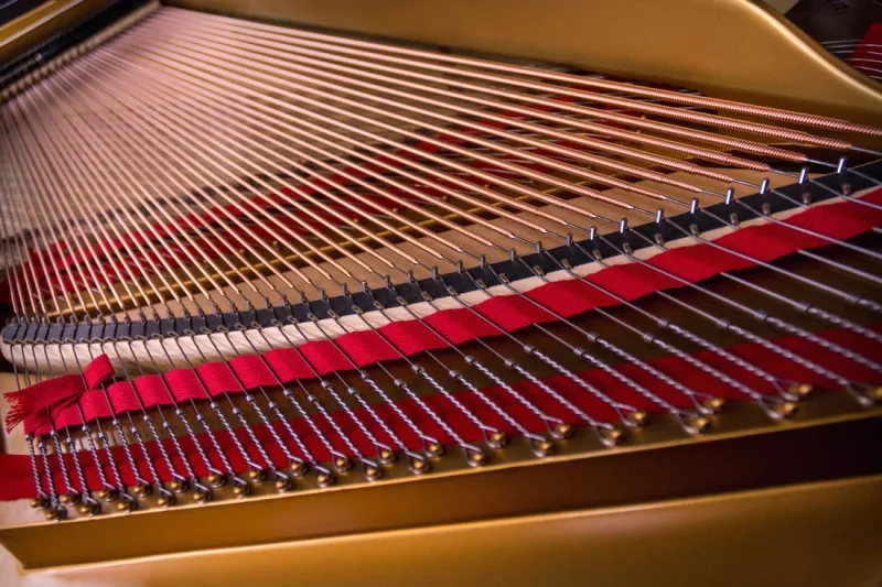 So Sánh Piano Điện Kawai CN Series: CN29, CN39, CN49 - Chọn Thế Nào?