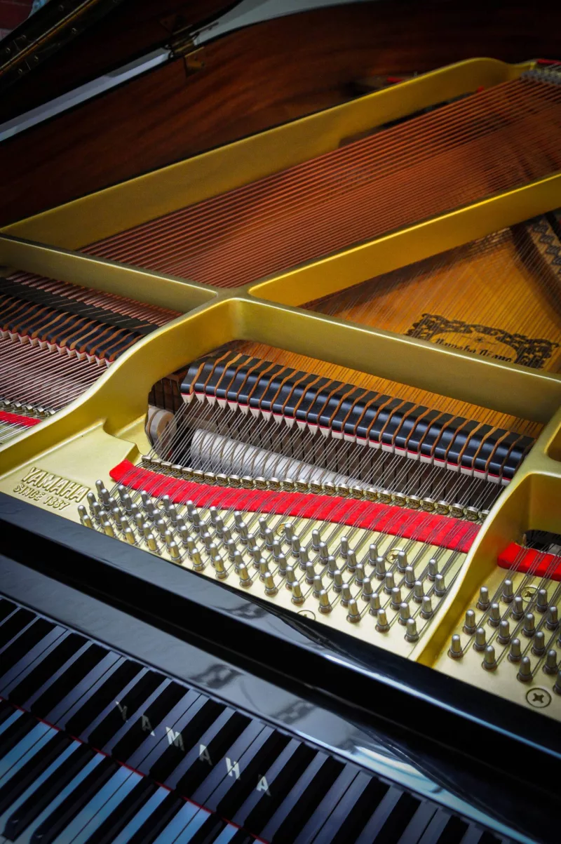 Nghệ thuật piano