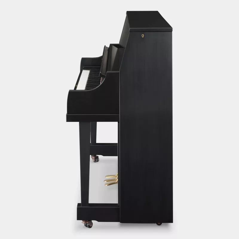 Tìm Hiểu Tính Năng 'Key Range' Trên Piano Điện: Chia Bàn Phím Linh Hoạt