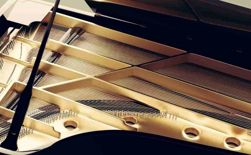 Tìm Hiểu Về 'Prepared Piano' (John Cage): Biến Tấu Âm Thanh Độc Đáo